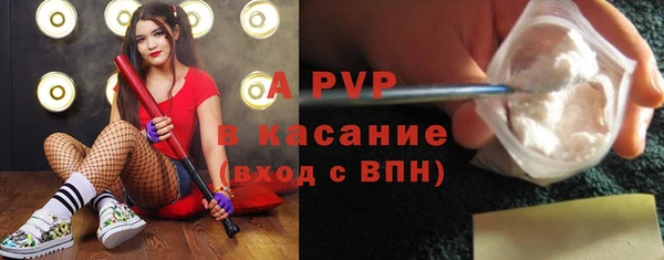 амф Белокуриха