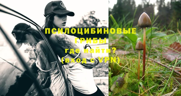 тгк Баксан